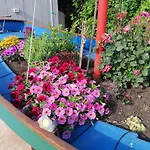 Con Piscina 